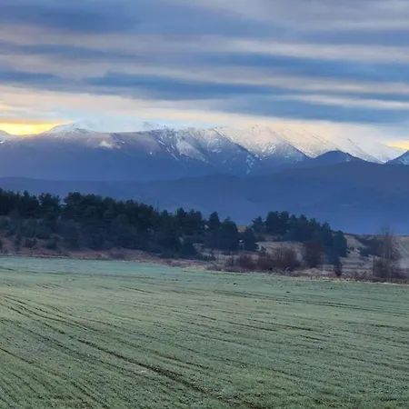 Arboro Flora * Borovec