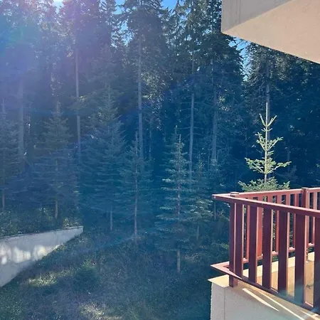 Apartamento Arboro Flora *