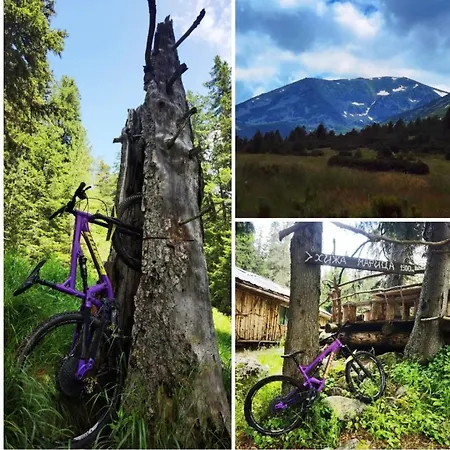 Apartamento Arboro Flora