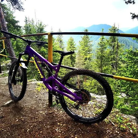 Apartament Arboro Flora *