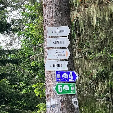 Apartamento Arboro Flora *