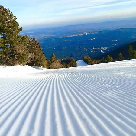 Apartamento Arboro Flora Borovets