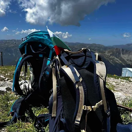 Arboro Flora * Borovets