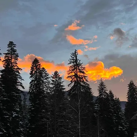 Apartamento Arboro Flora Borovets