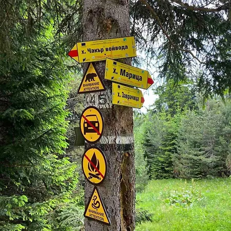 Arboro Flora * Borovets