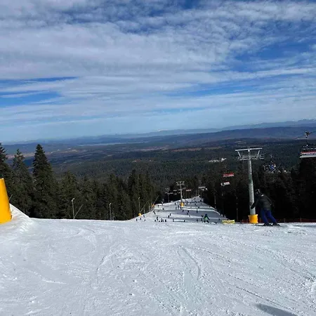 Arboro Flora Borovets