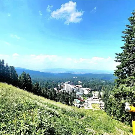 Arboro Flora Borovets