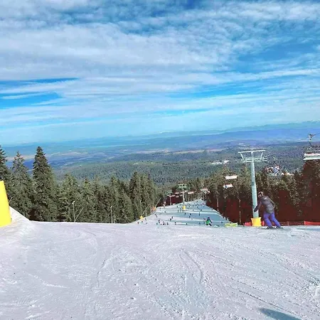 Arboro Flora * Borovets