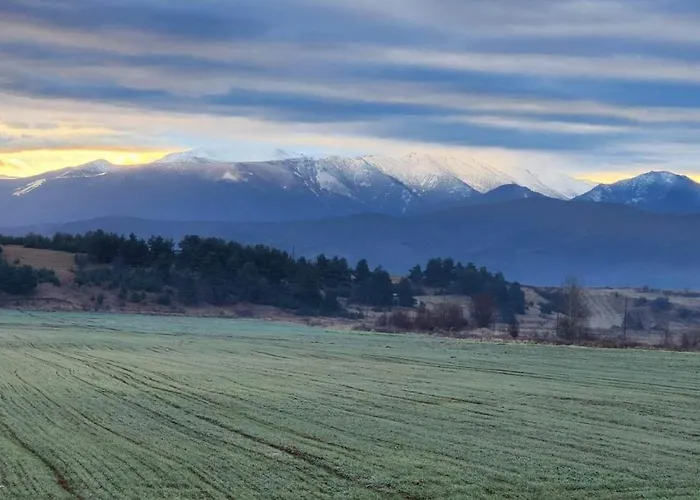 Arboro Flora * Borovets
