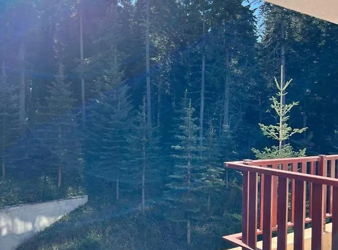 Апартаменты Arboro Flora *