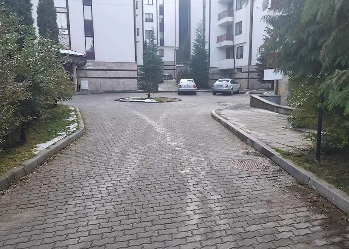 Апартаменты Arboro Flora Боровец