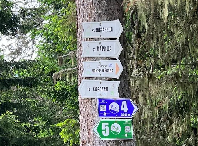 Апартаменты Arboro Flora *