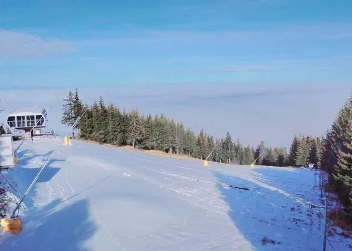 Апартаменты Arboro Flora