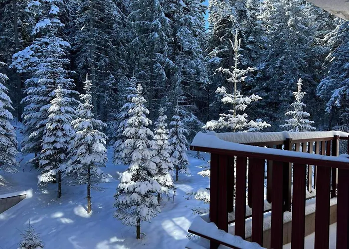 Arboro Flora * Borovets