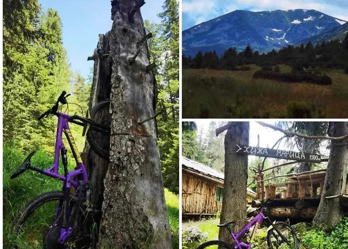 Appartement Arboro Flora Borovets