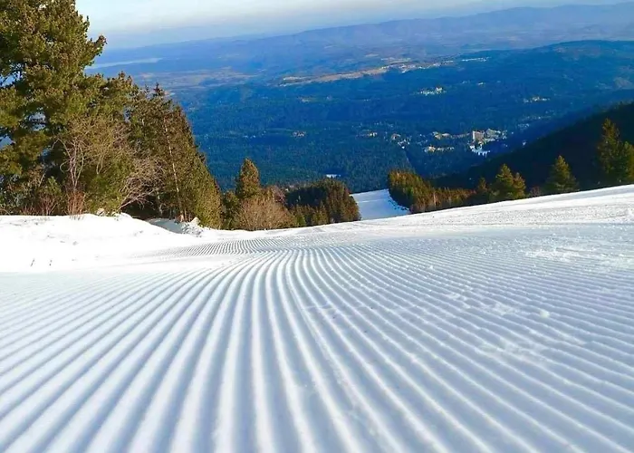 Апартаменты Arboro Flora Боровец