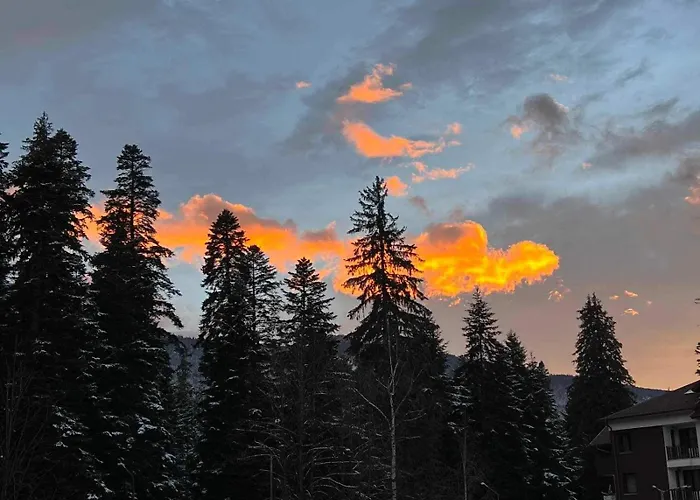 Appartement Arboro Flora Borovets