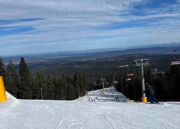 Arboro Flora Borovets