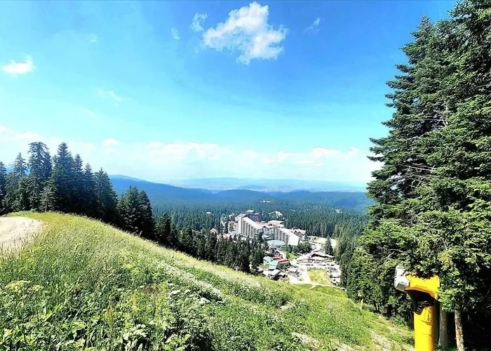 Arboro Flora Borovets