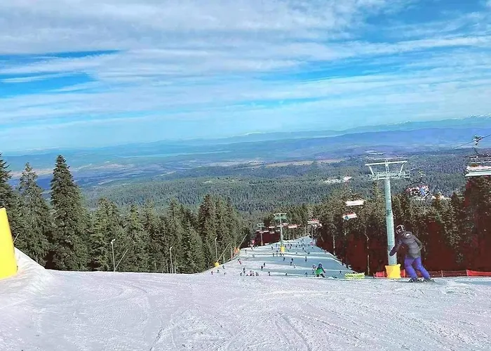 Arboro Flora * Borovets